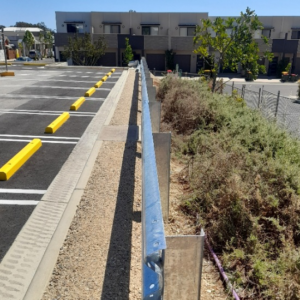 Resized_Resized_20211101_145148